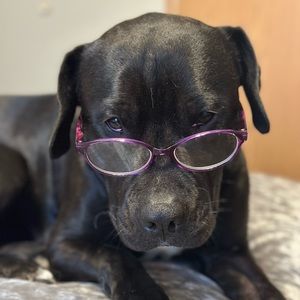 Meet your Posher, Margie